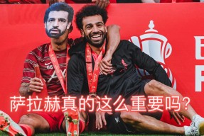 AYX- 萨拉赫受伤埃及球迷 